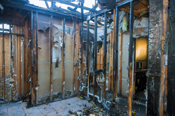Professional Fire Damage Removal technician working in Park City, MT